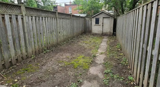 Dog friendly yard