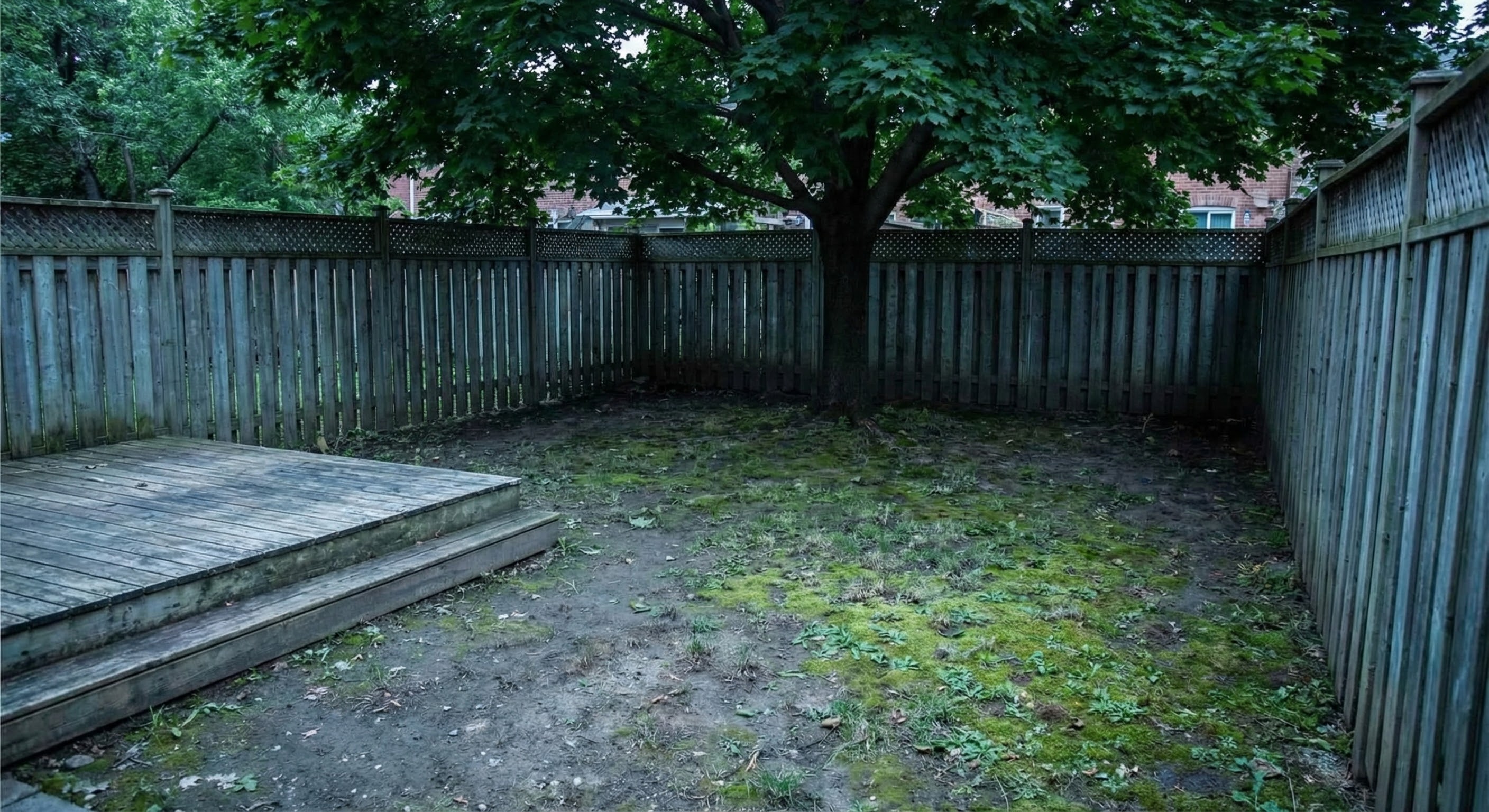 Muddy backyard before artificial turf