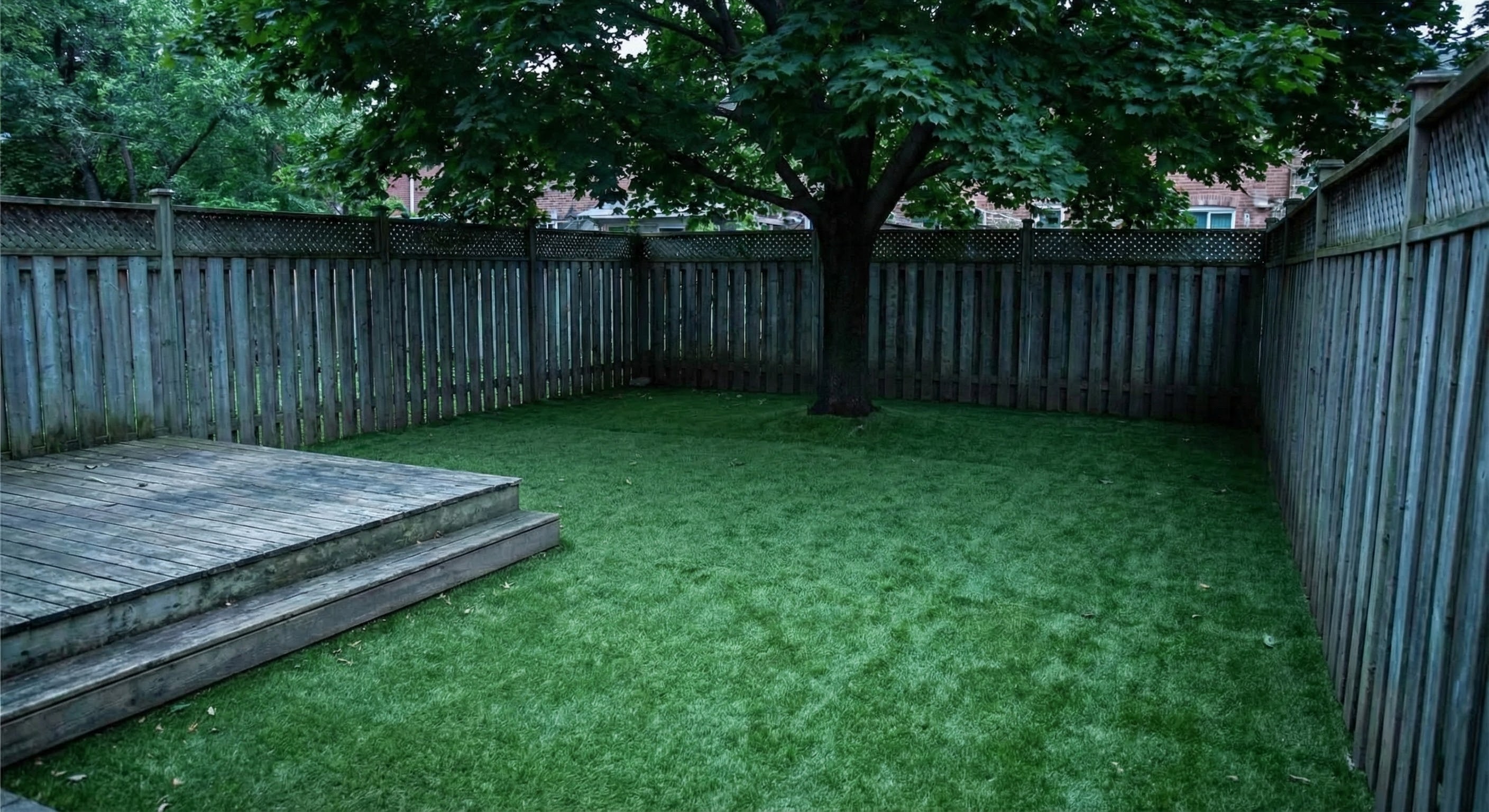 Easy Lawn